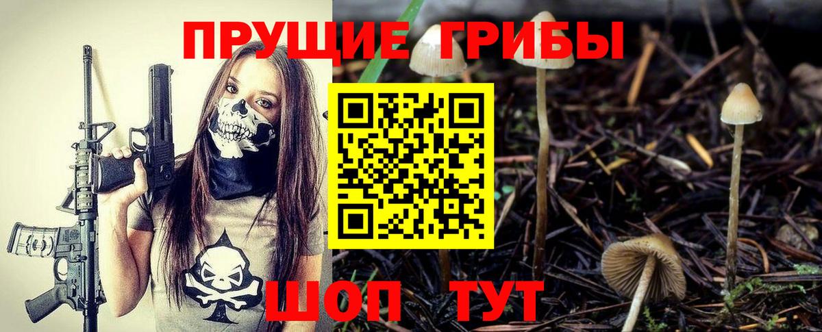 Галлюциногенные грибы мухоморы  купить наркоту  Печора  Вход с VPN 